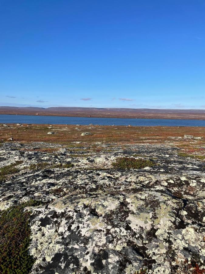 Ekkeroy Lodge - Arctic Living Vadso Bagian luar foto